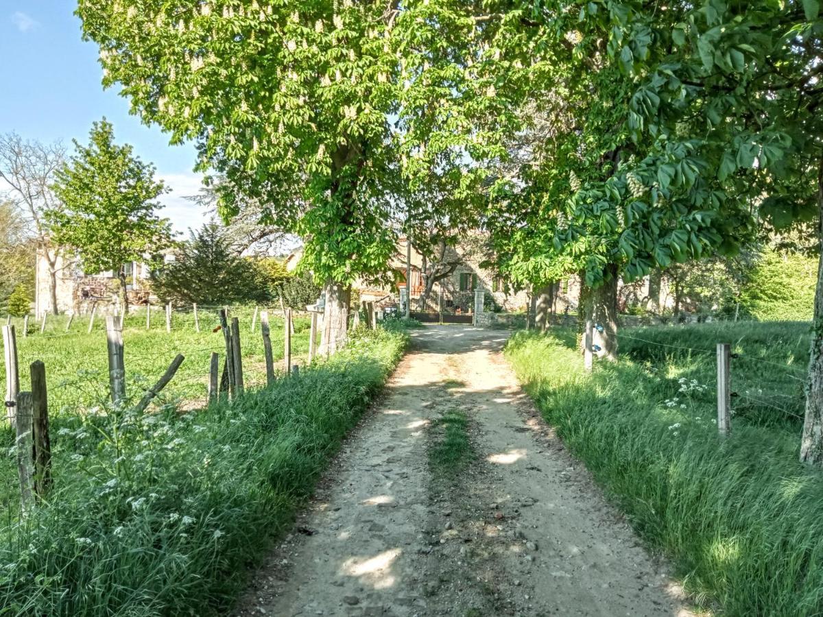 "La Voute De Pierre" Gite Independant Saint-Cyr  Bagian luar foto