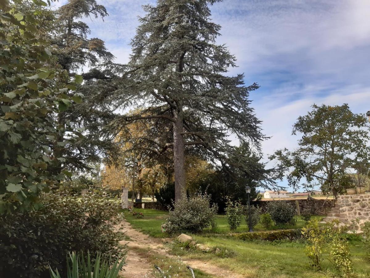 "La Voute De Pierre" Gite Independant Saint-Cyr  Bagian luar foto